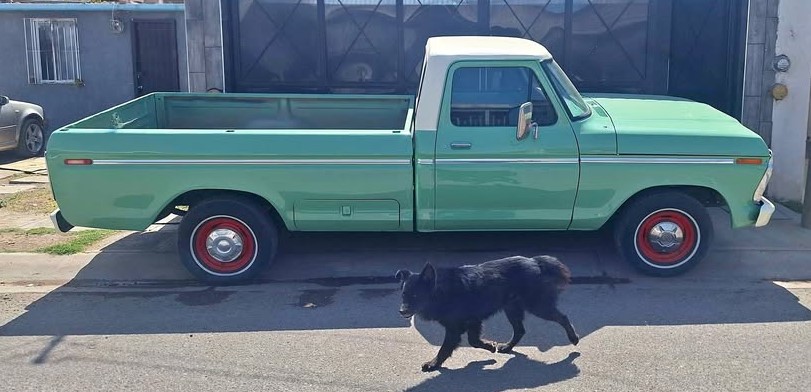 Mexican Spec On You Tube