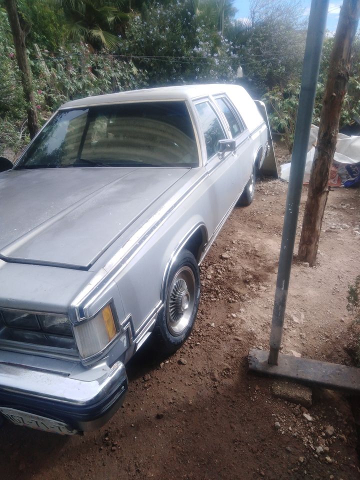 Mexican Spec On You Tube